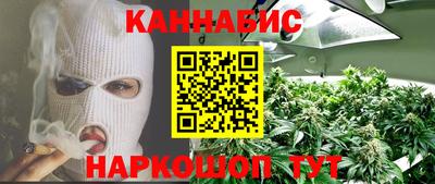 mdpv Новодвинск
