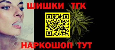 mdpv Новодвинск