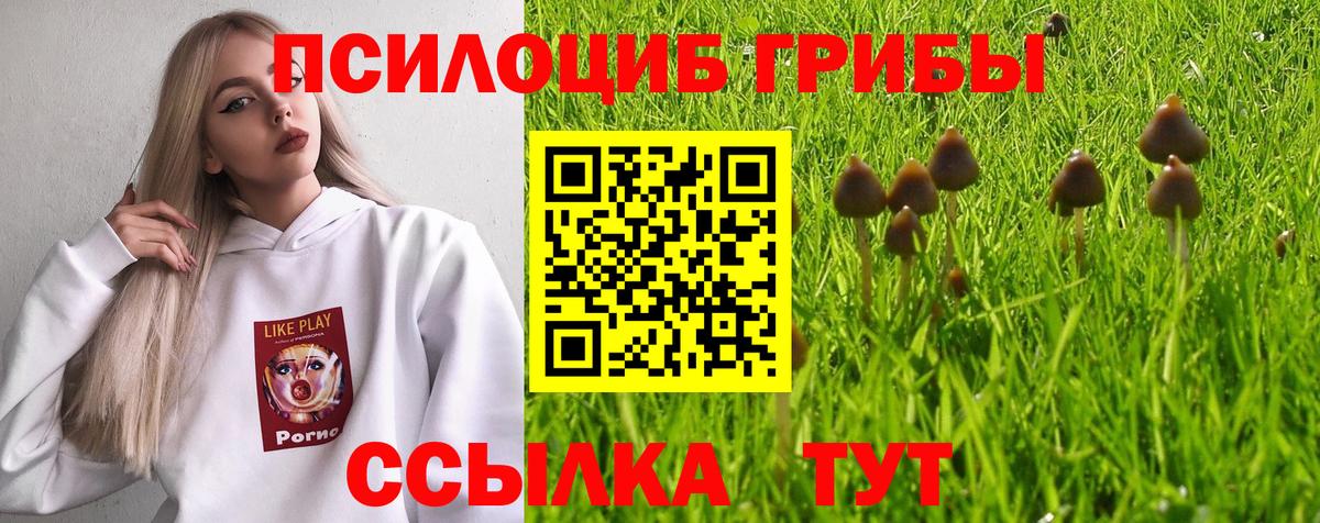 Галлюциногенные грибы Psilocybine cubensis Усолье-Сибирское